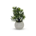 Mini Planter – 3 Pcs Colorful Indoor Decor
